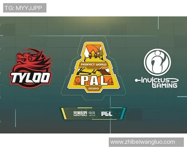 CSGO战术深度解析：IG战队如何运用策略赢得比赛