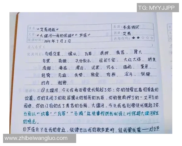 杨秀英独家揭秘：深入解析足球技巧与比赛心得分享