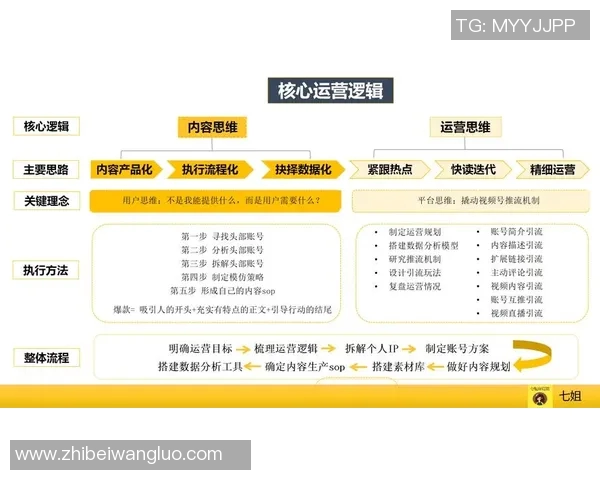 深入分析上海飞盘队的运营策略与发展模式探秘