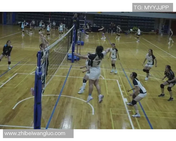 聚焦排球:深入探讨上海排球队的团队意识与文化建设 聚焦排球:深入探讨上海排球队的团队意识与文化建设