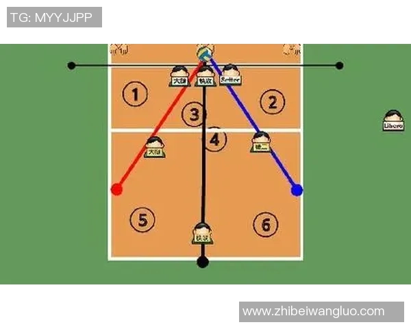 深圳排球队反击战术解析与实战应用探讨