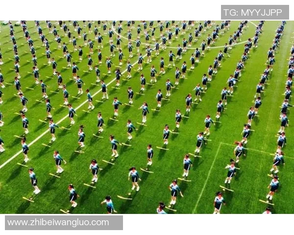 重庆飞盘队在极限运动嘉年华中的意识表现分析与点评