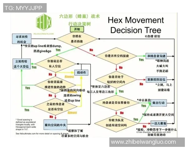 西安飞盘队意识表现的数据分析与战术提升研究 西安飞盘队意识表现的数据分析与战术提升研究