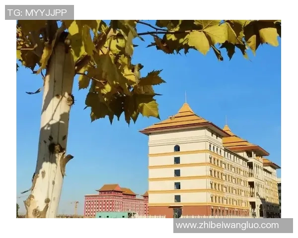 上海羽毛球队挑战赛特别报道:从默默无闻到辉煌成就的成长之路 上海羽毛球队挑战赛特别报道:从默默无闻到辉煌成就的成长之路