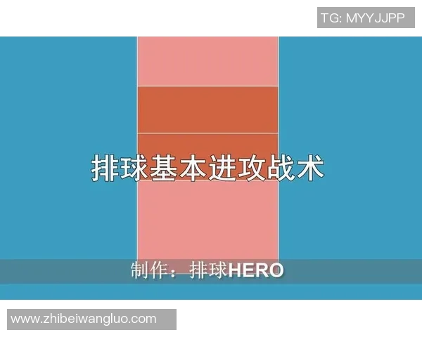 杭州排球队中路突破战术解析与实战应用探讨