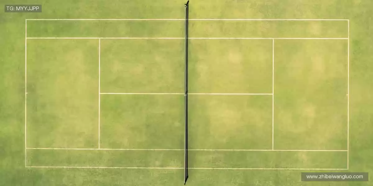 📱 指尖轻点,赛事同步全球!🌍